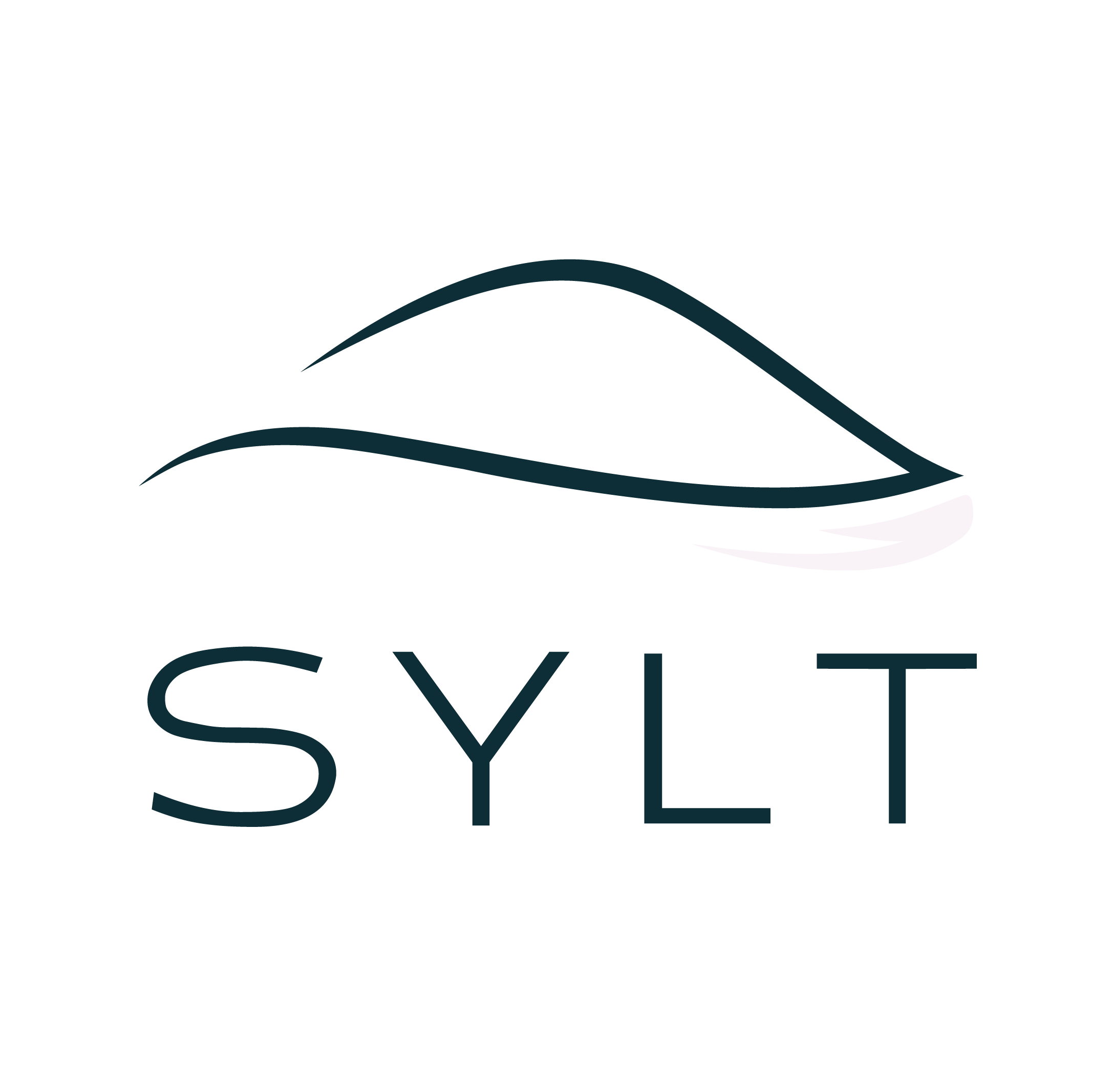 SYLT Clay Company logo